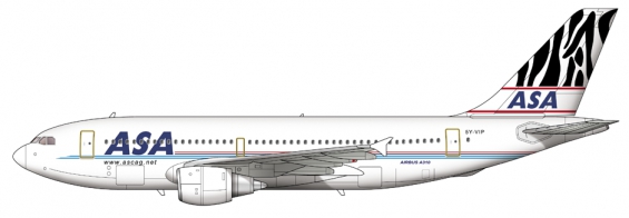African Safari Airbus A310