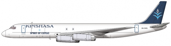 Kinshasa DC-8 (cargo)