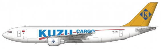 Kuzu Airbus A300